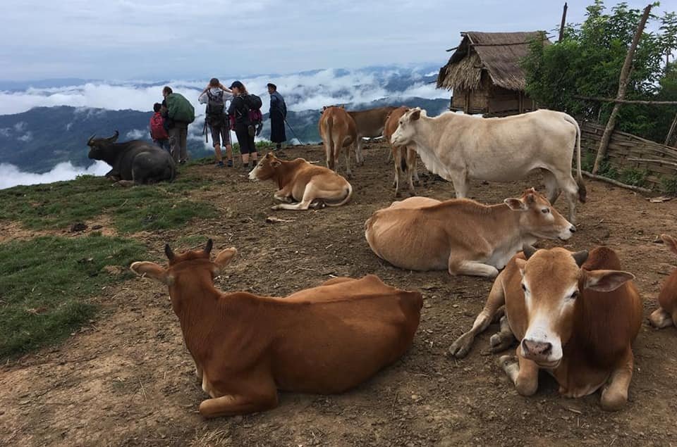 4 Days Xieng Khouang - Plain of Jars Trekking Tour
